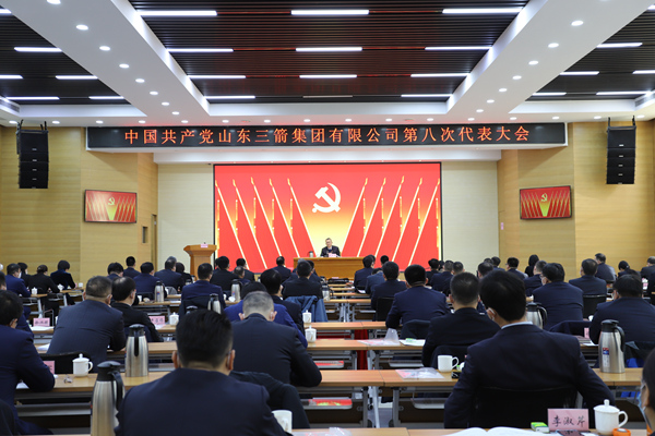 02党代会会场-2_600.jpg